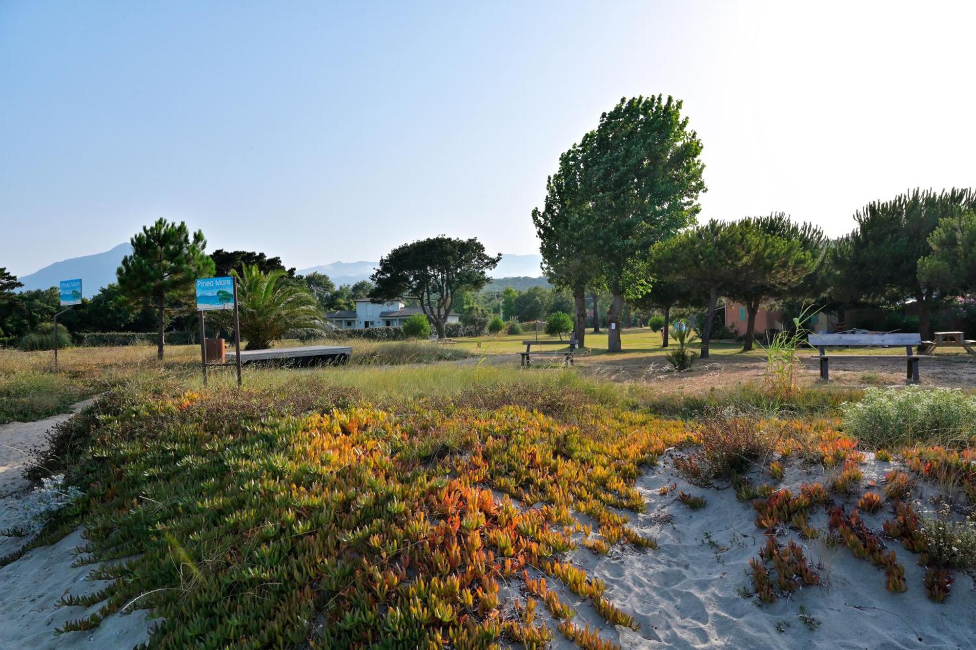 Hotel Pinea Mare Poggio Mezzana Exterior foto