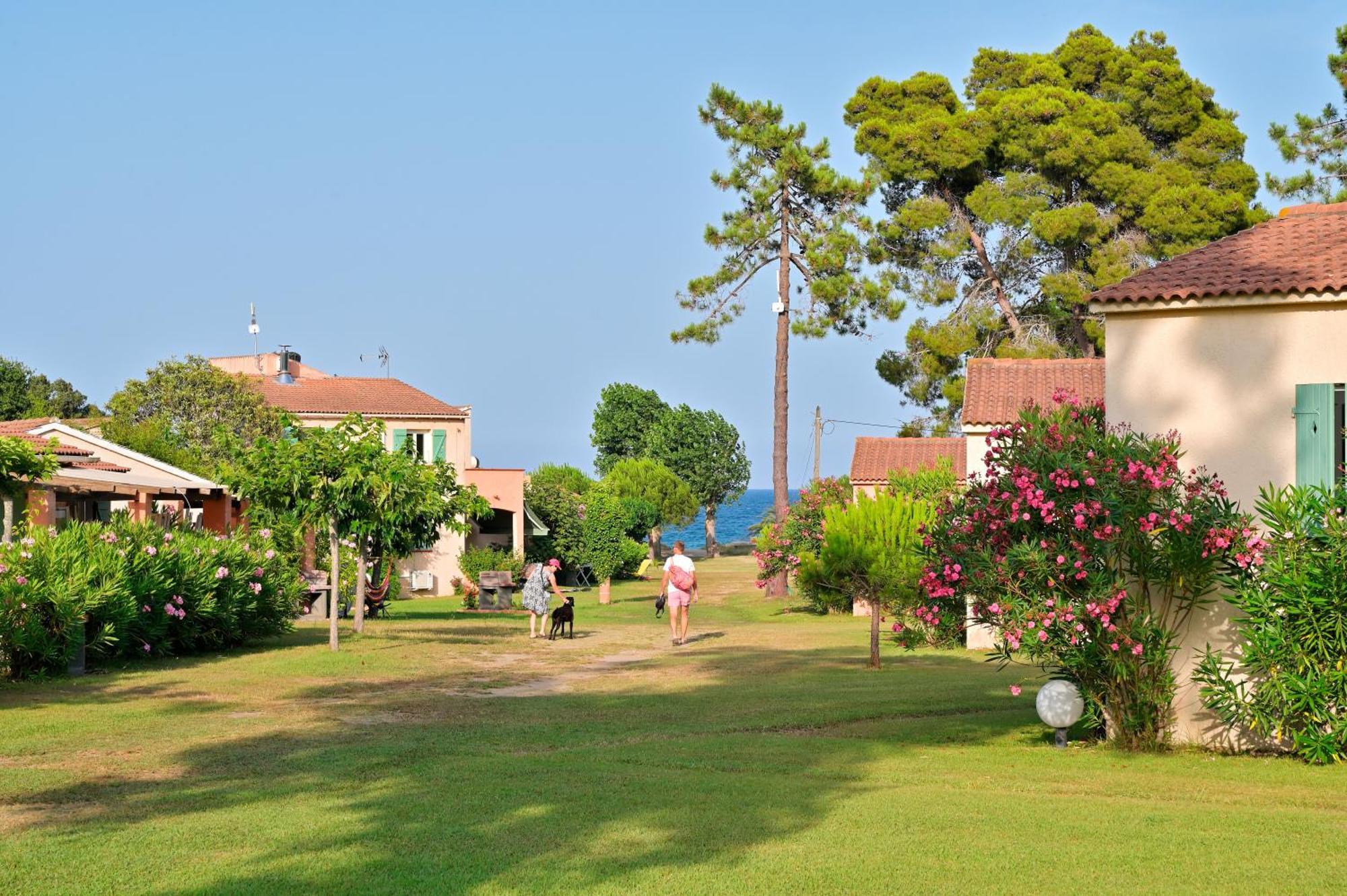 Hotel Pinea Mare Poggio Mezzana Exterior foto